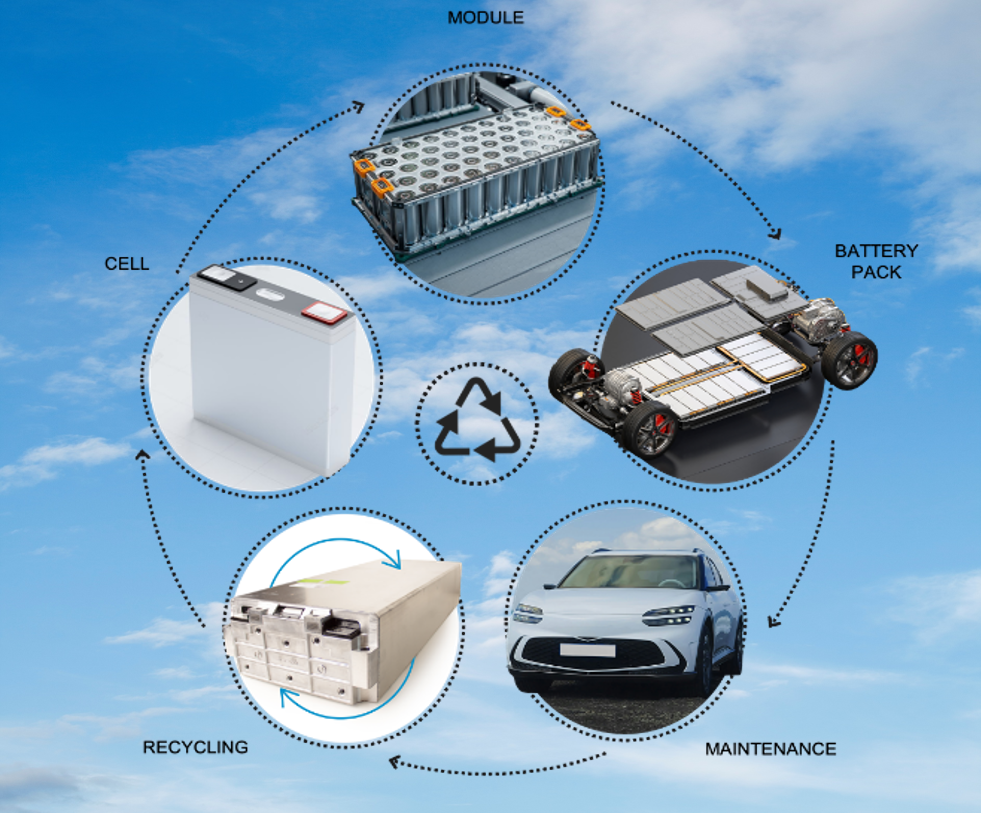 CeLLife supports long-term lifecycle management and regulatory readiness CeLLife supports long-term lifecycle management and regulatory readiness